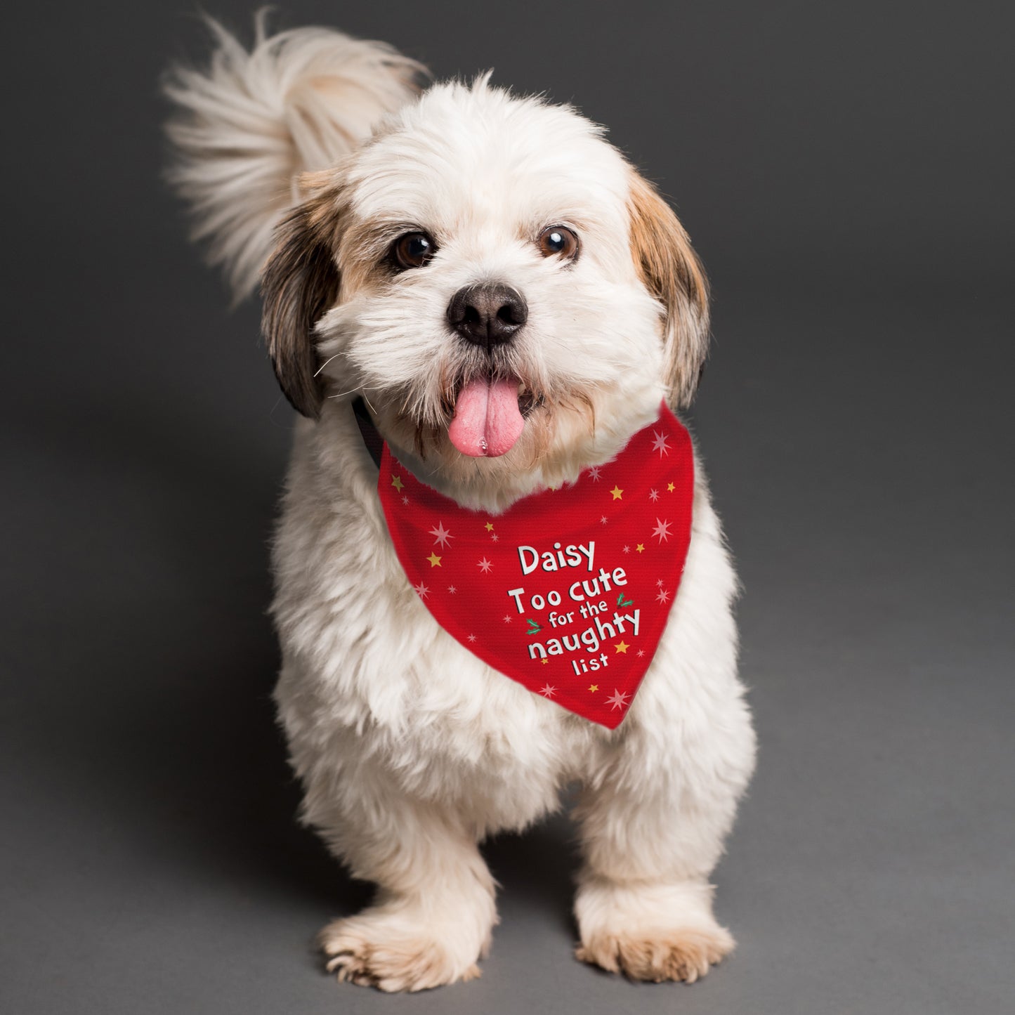 Personalised 'Too cute for the naughty list' Dog Bandana